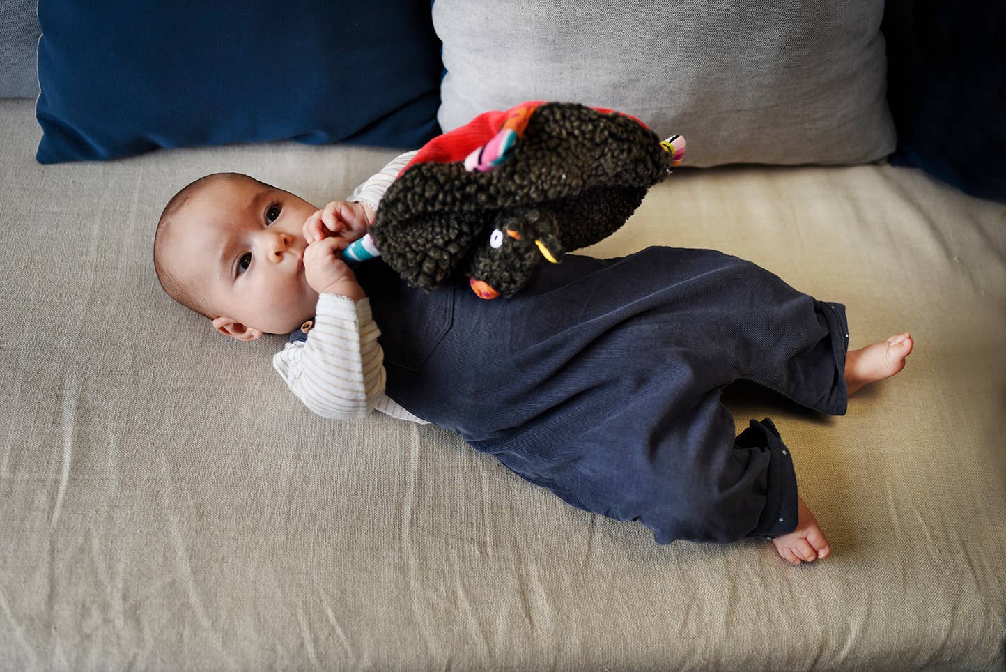 T’es Fou Louloup & Rotkäppchen – Musikalisches Doudou