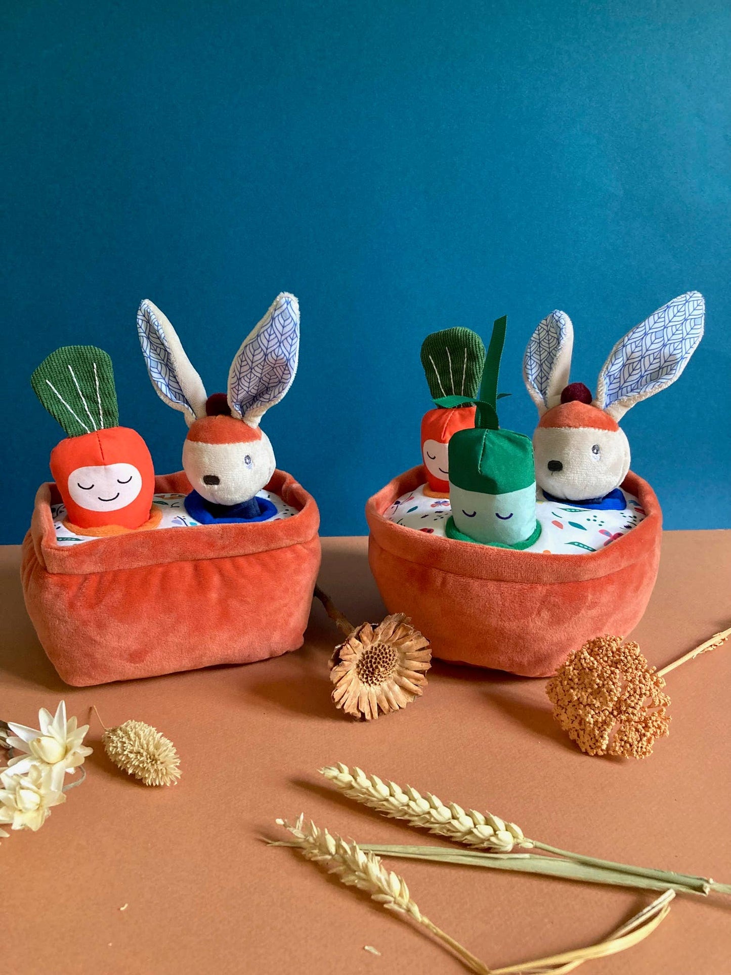 NEU. Gabin Rabin's Gemüsegarten mit 3 Aktivitätsspielzeugen