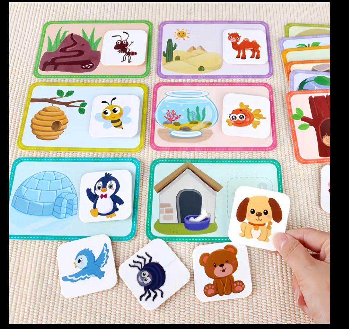 🌟 Lebendige Lernkarten für Vorschule & Kindergarten – Tierlebensraum-Matchspiele für spielerisches Lernen! 🌟