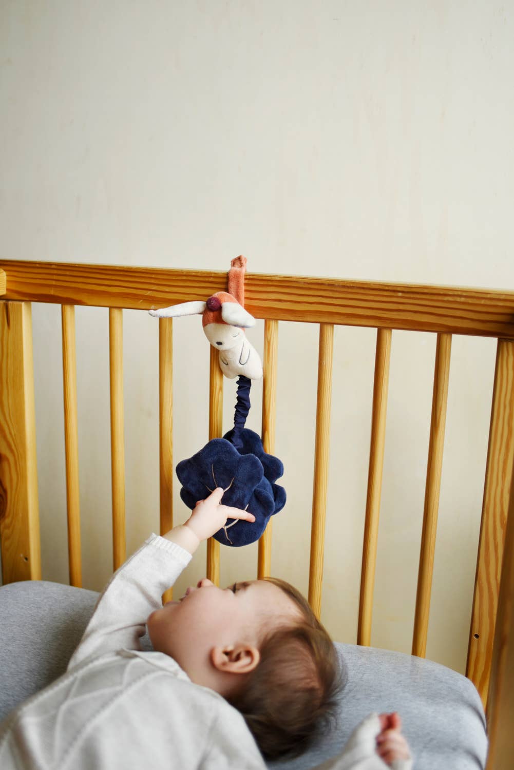 Gabin musikalischer Hase